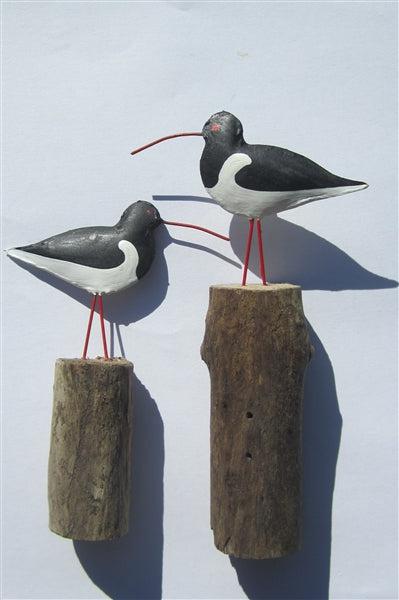 Mixed Size Oyster Catchers - The Nancy Smillie Shop - Art, Jewellery & Designer Gifts Glasgow