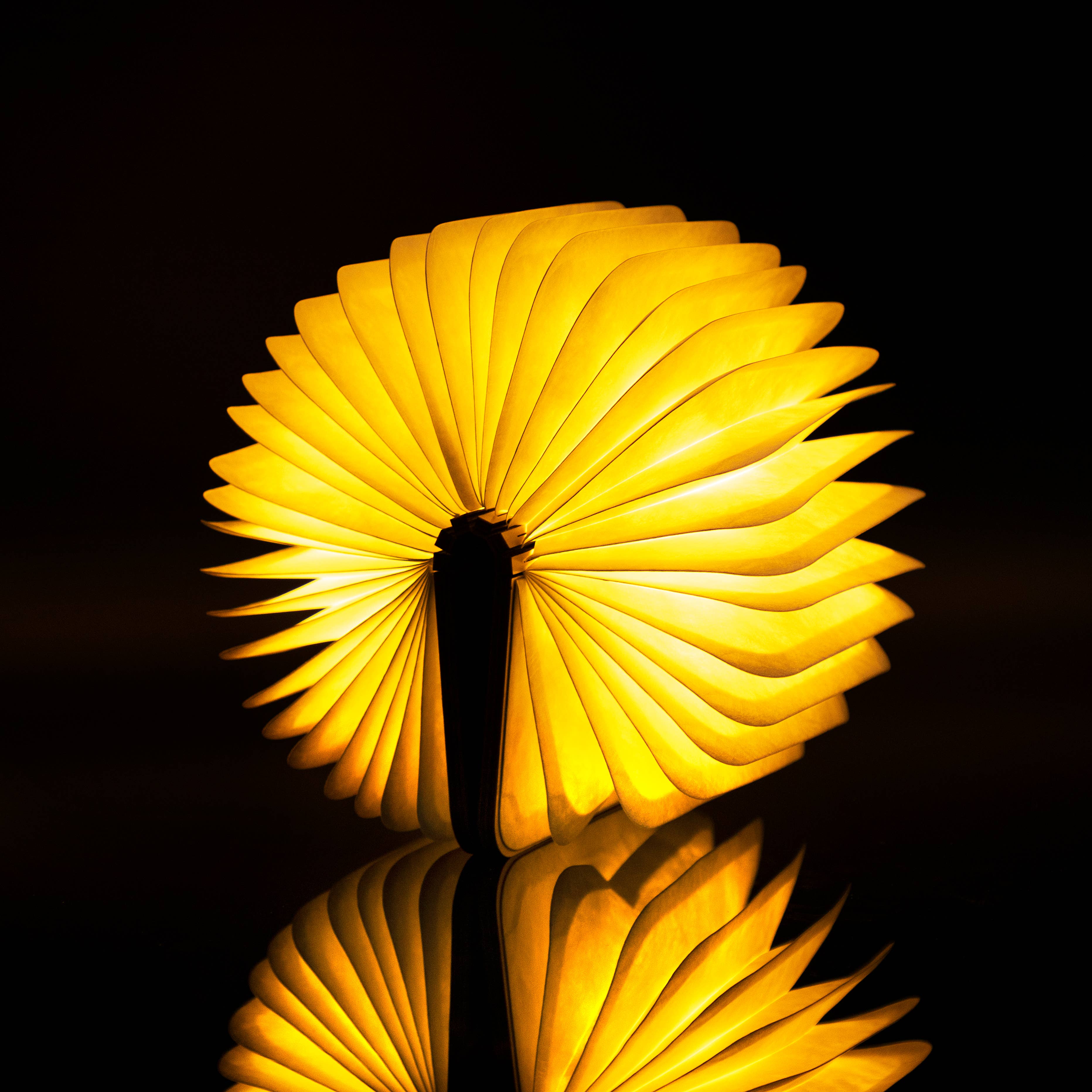 Mini Maple Natural Wood Smart Book Light with warm yellow glow