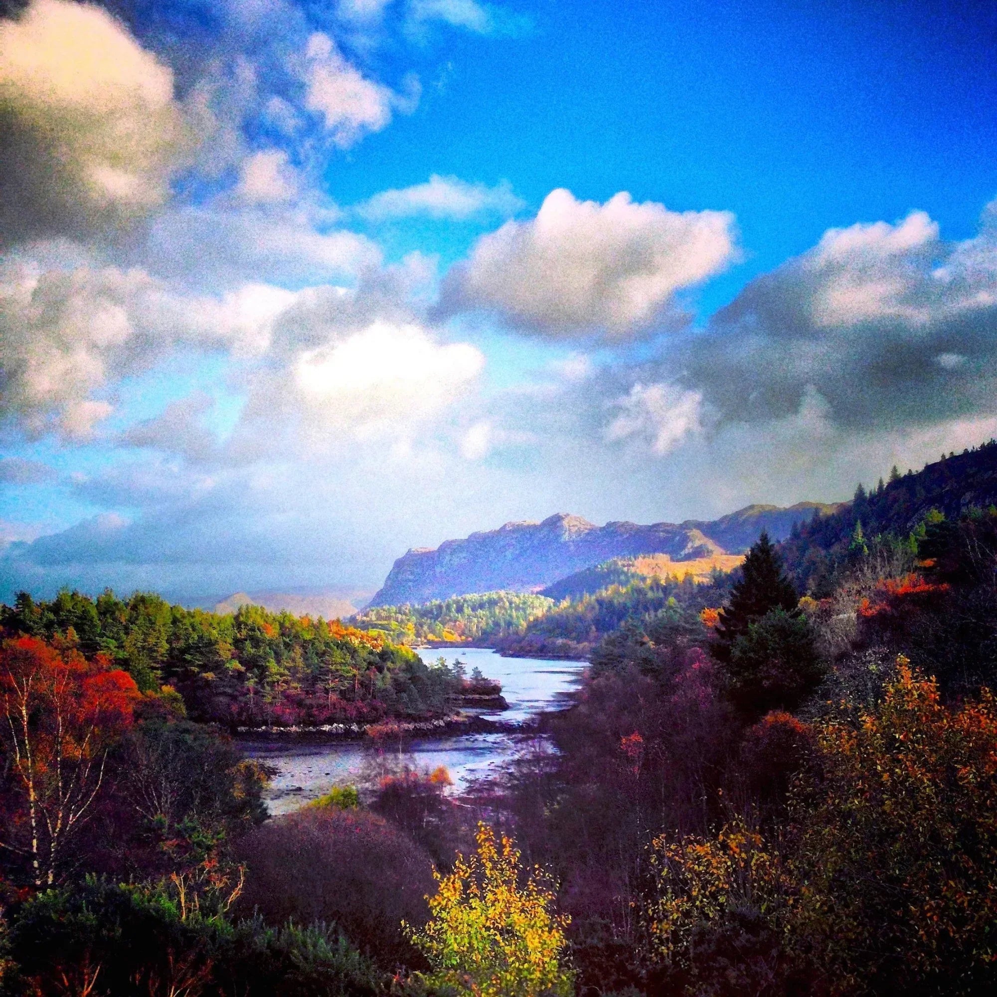 Plockton | Statement Interior Wall Art from Scotland - All Prints