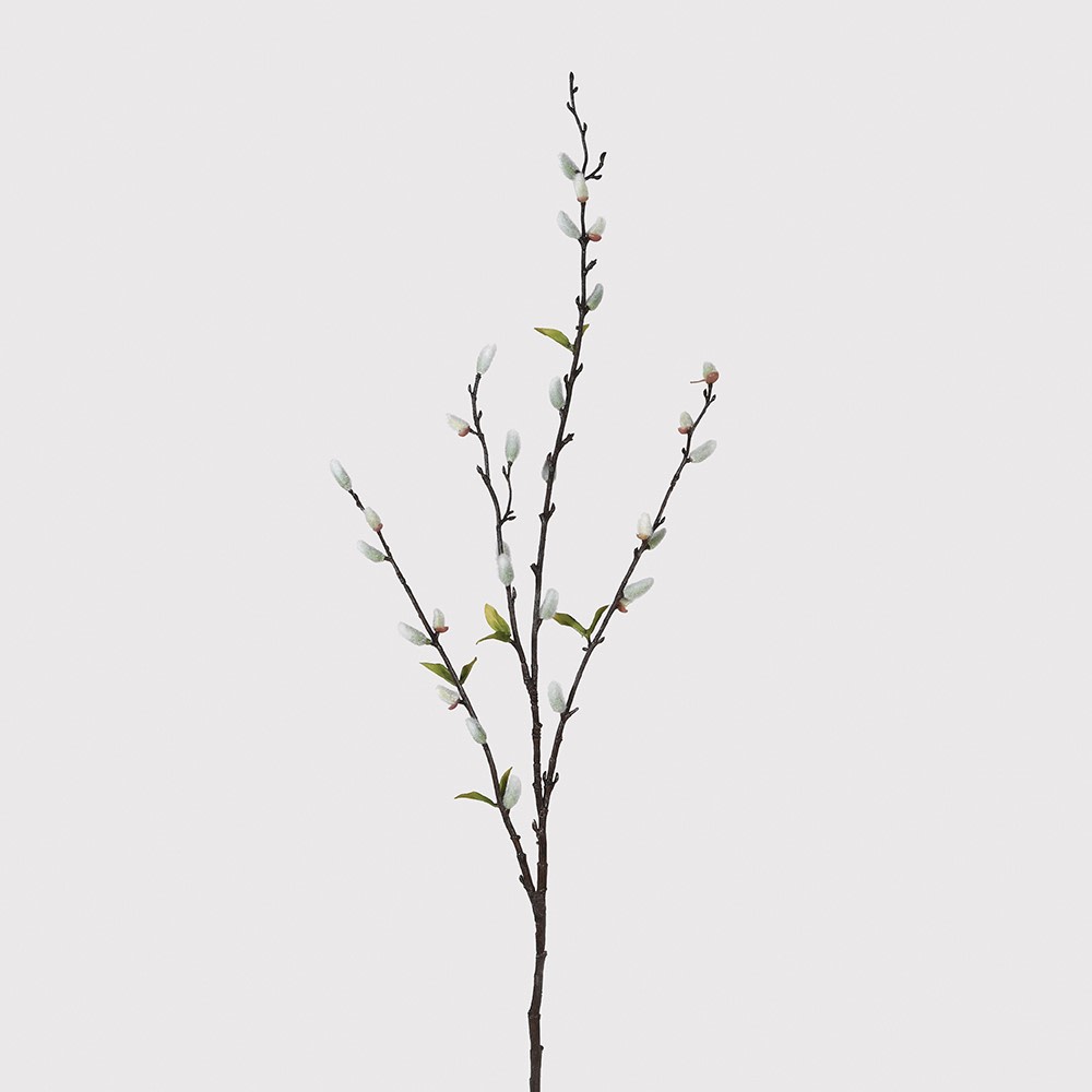 Natural Pussywillow Stems - The Nancy Smillie Shop - Art, Jewellery & Designer Gifts Glasgow