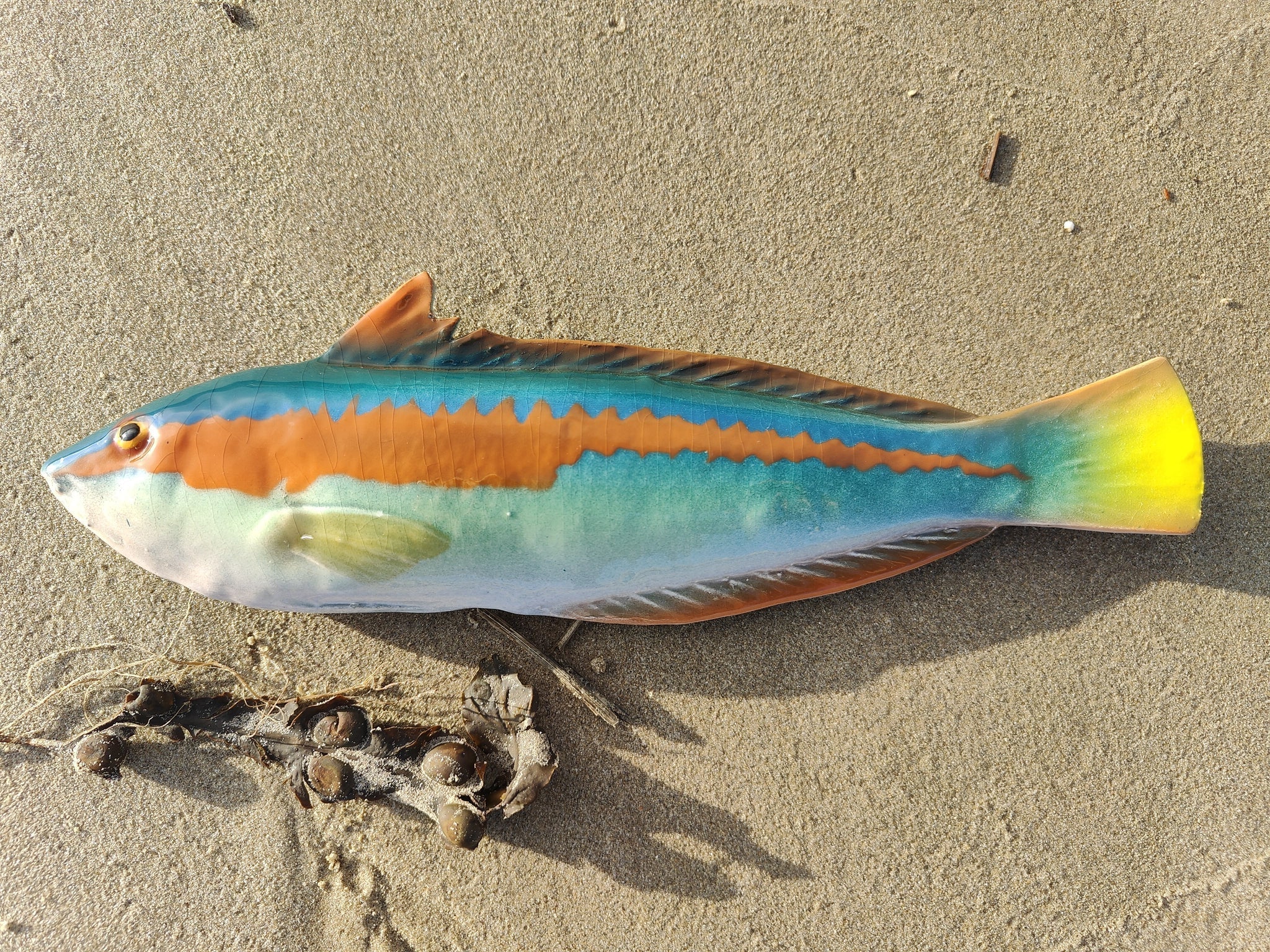 Vibrant multicolored Rainbow Wrasse ceramic parrotfish figurine on sandy beach