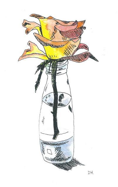 "Rose" Framed Print - The Nancy Smillie Shop - Art, Jewellery & Designer Gifts Glasgow