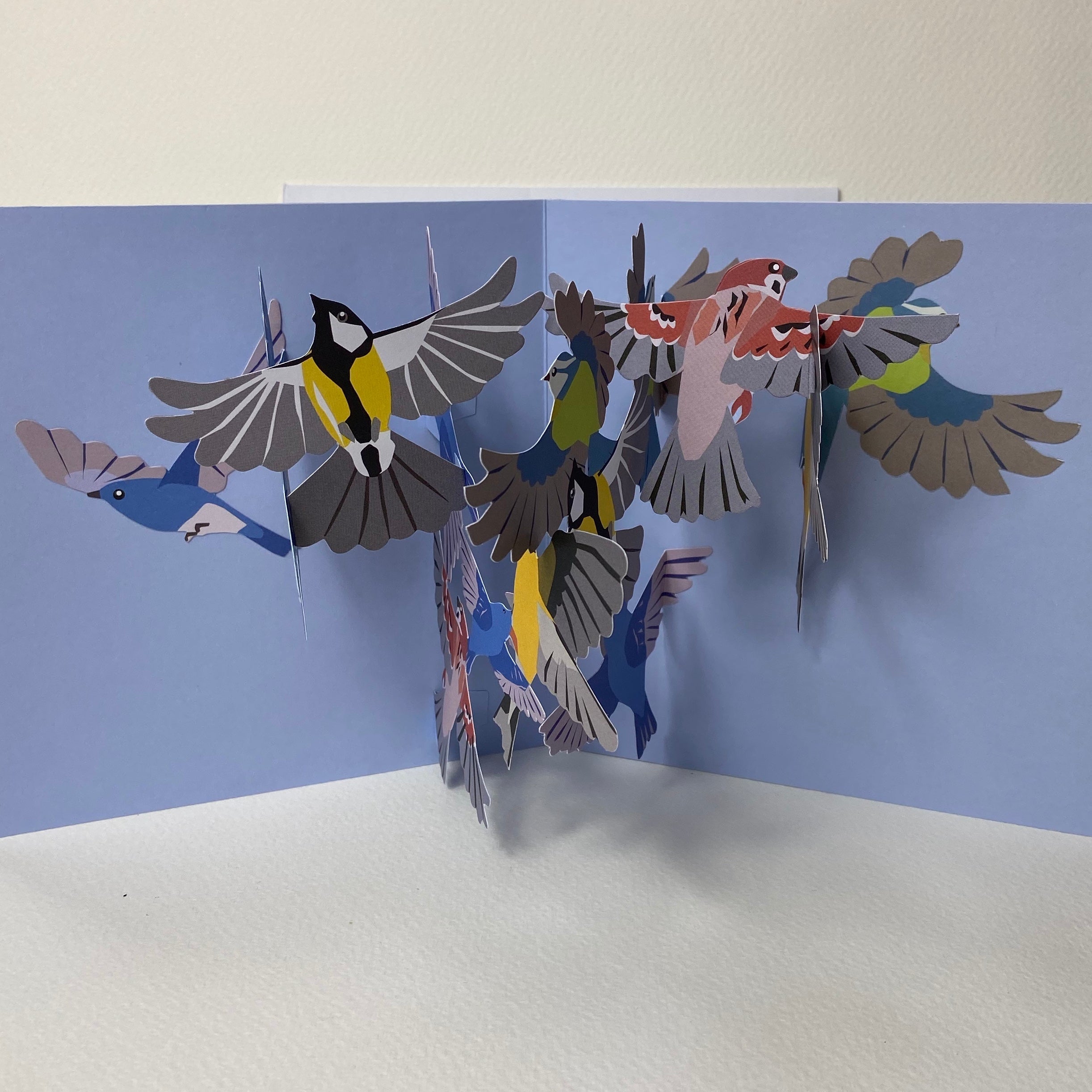 Small Birds -pop up card - The Nancy Smillie Shop - Art, Jewellery & Designer Gifts Glasgow