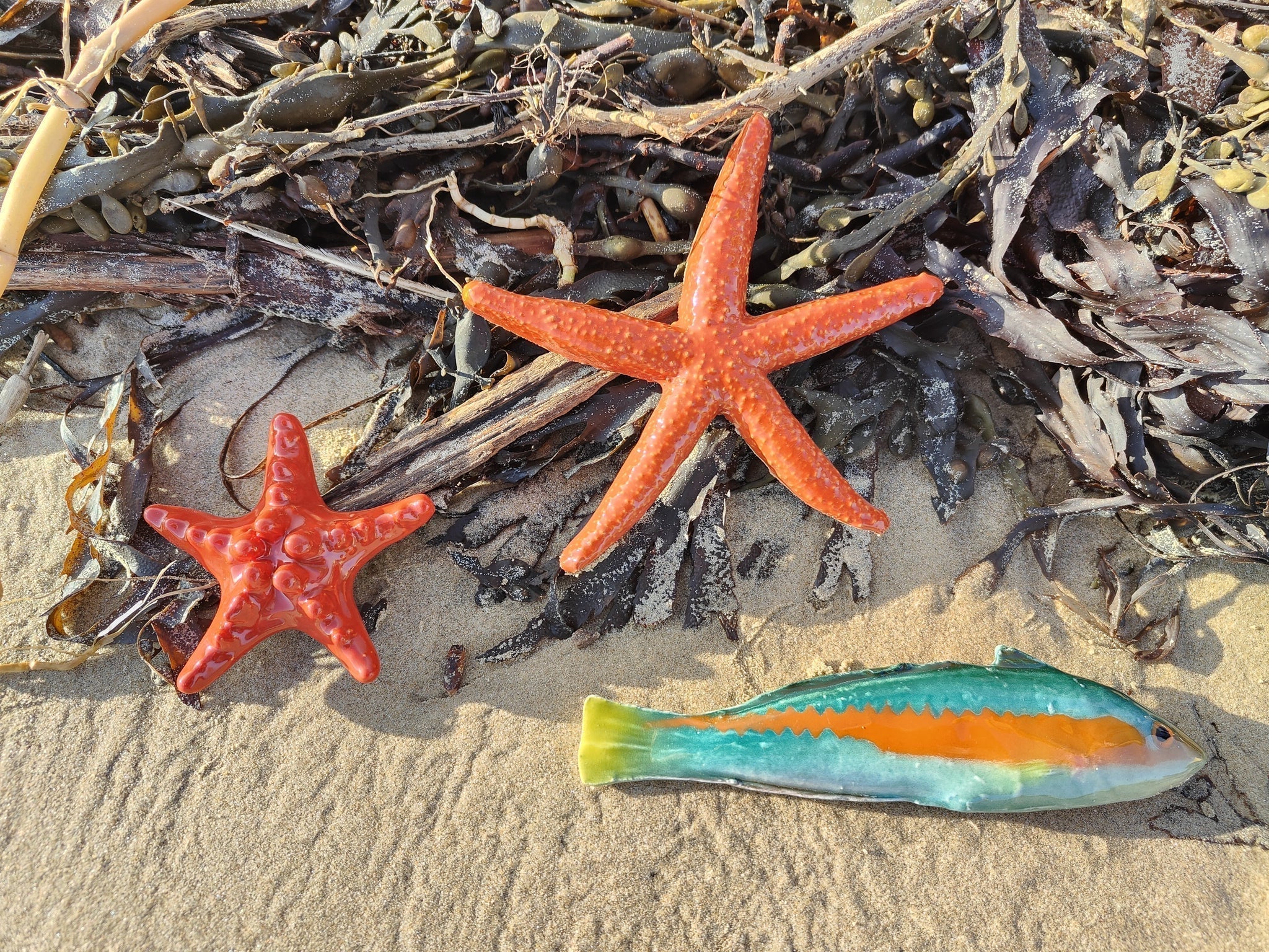 Small Starfish Ceramic Art - The Nancy Smillie Shop - Art, Jewellery & Designer Gifts Glasgow