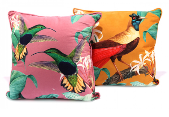 Square Bird Cushion - The Nancy Smillie Shop - Art, Jewellery & Designer Gifts Glasgow