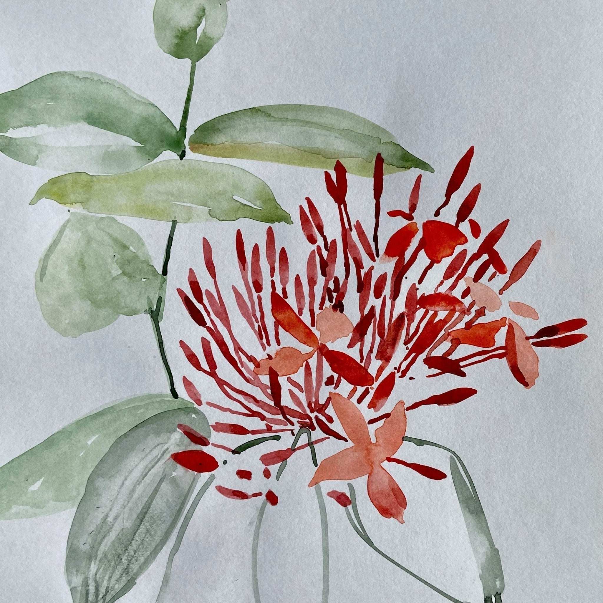 Tropical Flower Card Pack of 4 - The Nancy Smillie Shop - Art, Jewellery & Designer Gifts Glasgow