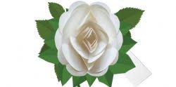 White Rose Pop Up Card - The Nancy Smillie Shop - Art, Jewellery & Designer Gifts Glasgow