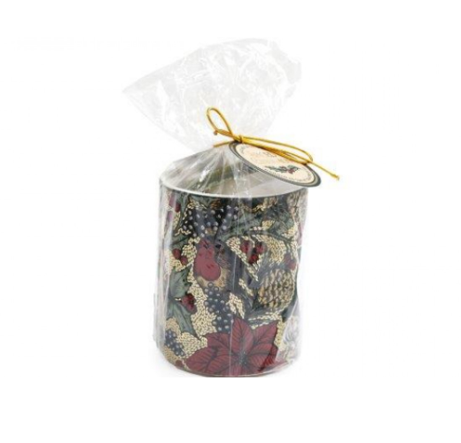 9x10 fragrance burner melts