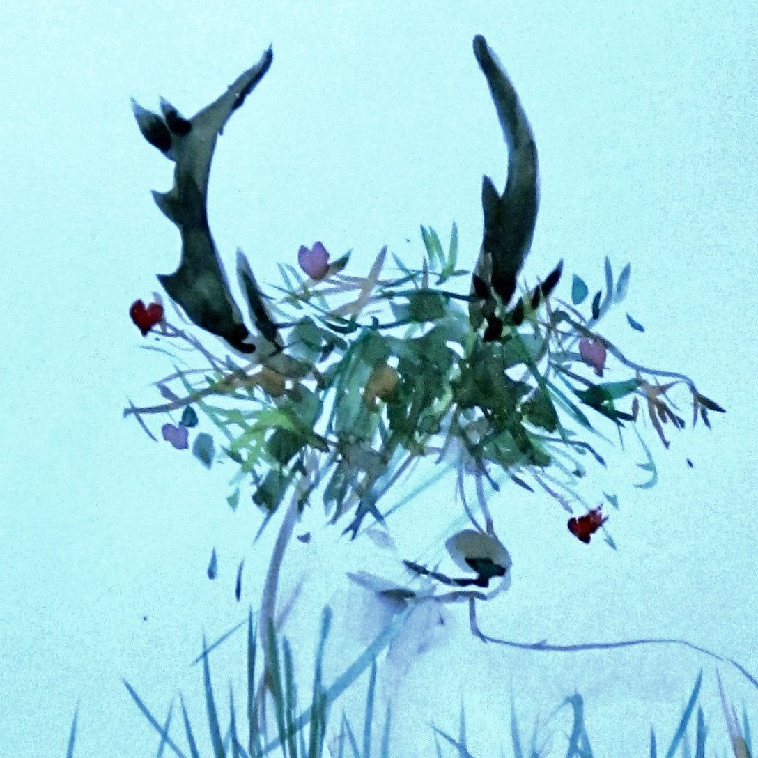 Young Stag Pack of 4 Cards - The Nancy Smillie Shop - Art, Jewellery & Designer Gifts Glasgow
